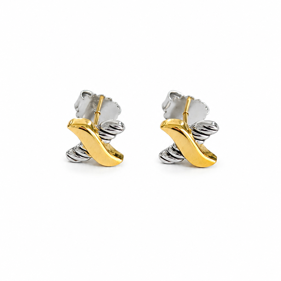 X EARRINGS