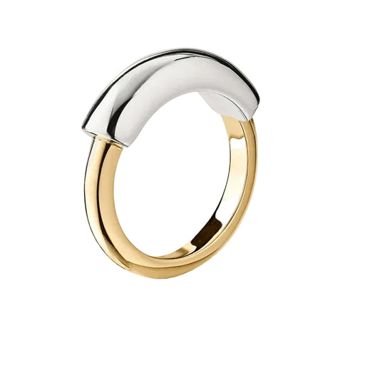 Mixed two tone ring - MARO JEWELRY