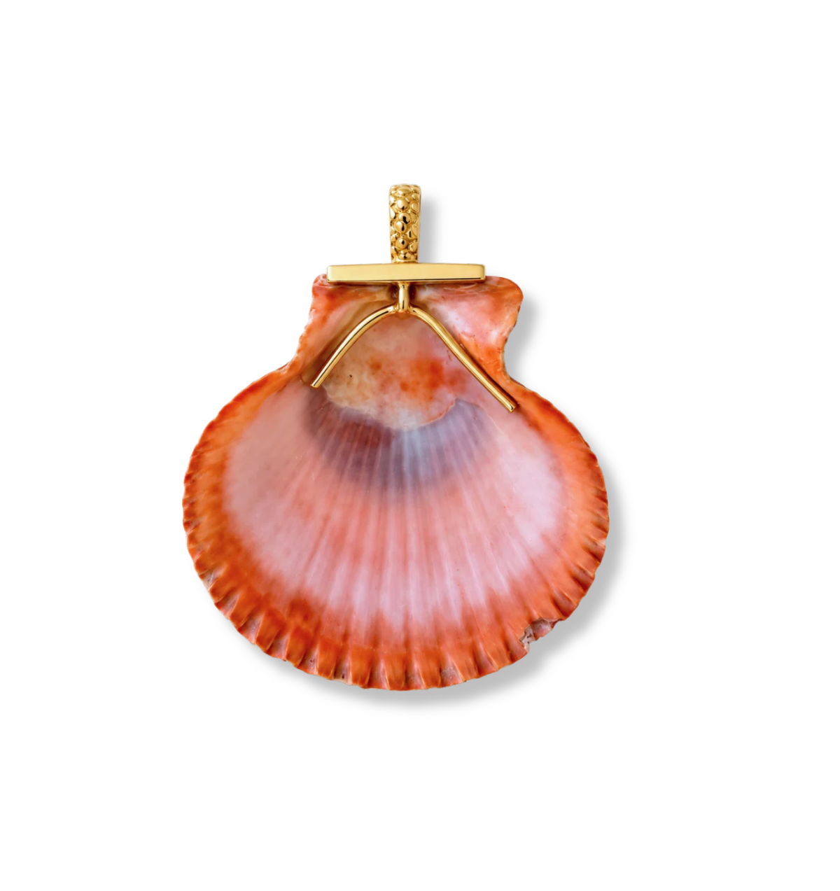The Coral Shell Charm