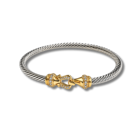 Slim silver-tone twisted cable bracelet with gold-tone buckle ends set with tiny stones